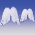 Adult Feather Angel Wings