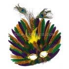 Mardi Gras Peacock Feather Masks