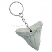 Sharks Tooth Key Chains